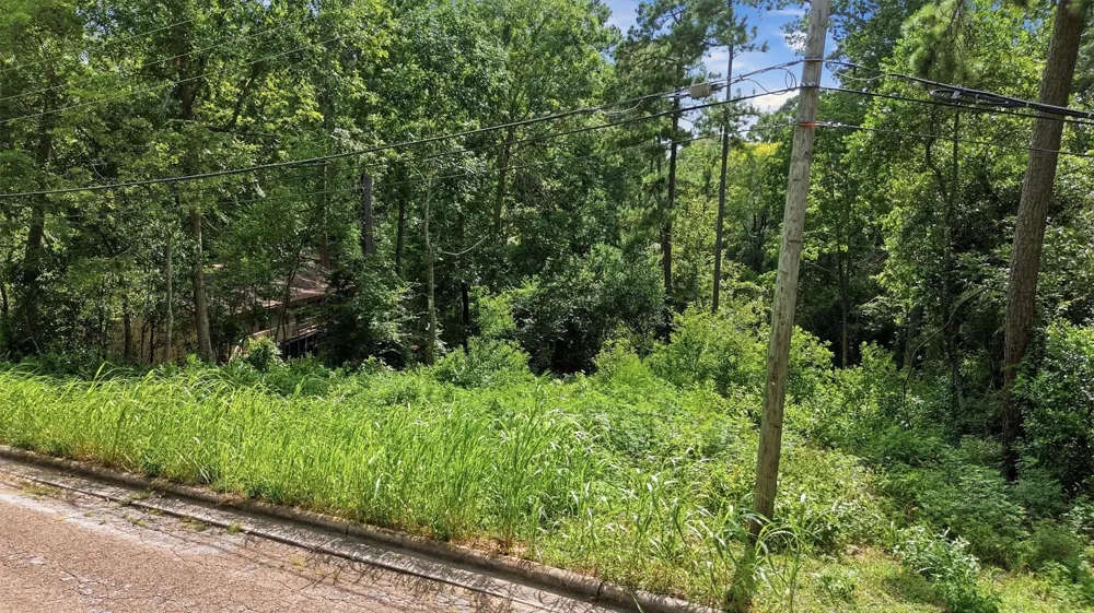 Hillendale Drive Livingston, TX 77351