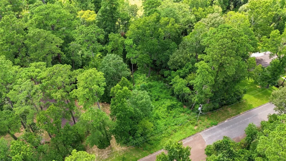 Hillendale Drive Livingston, TX 77351