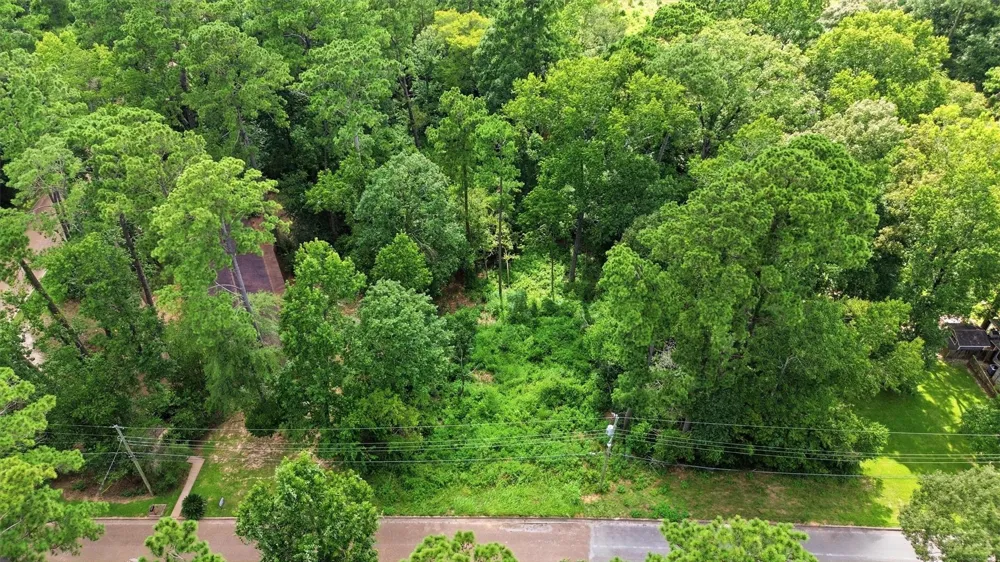 Hillendale Drive Livingston, TX 77351
