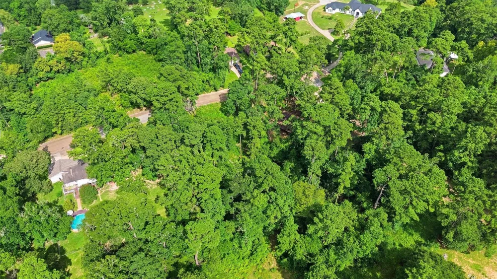 Hillendale Drive Livingston, TX 77351