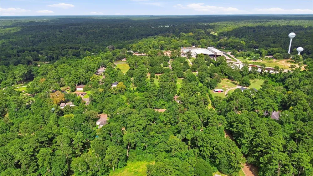 Hillendale Drive Livingston, TX 77351