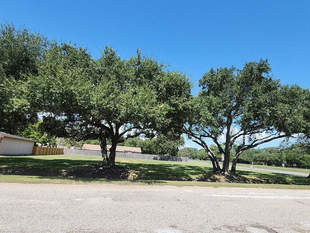 1000 Delmar La Marque, TX 77591