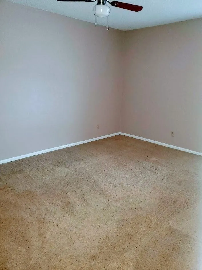 250 El Dorado #296 Webster, TX 77598