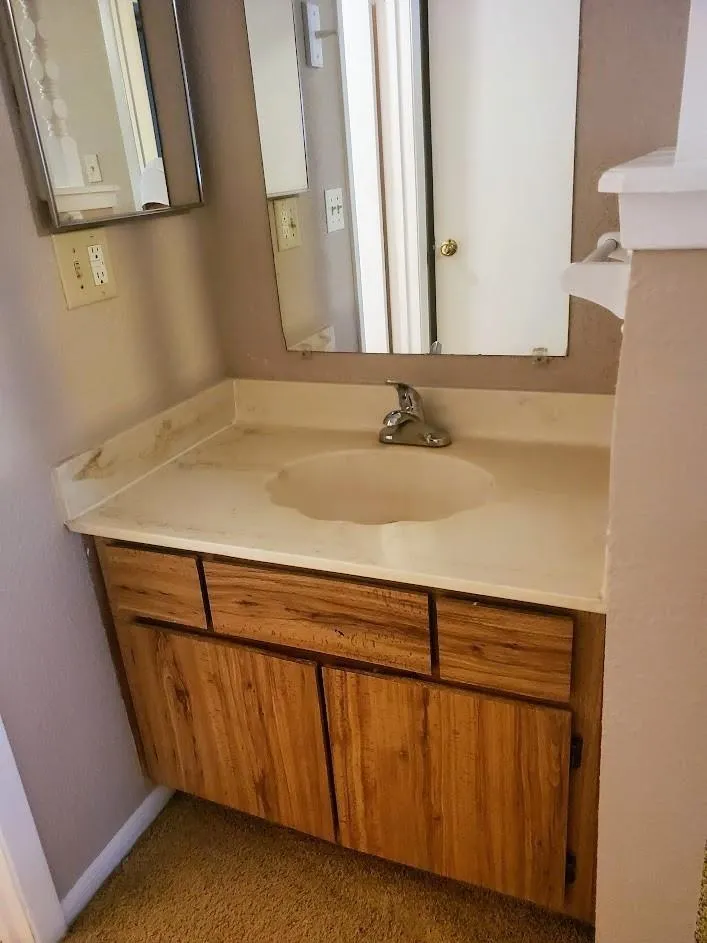 250 El Dorado #296 Webster, TX 77598