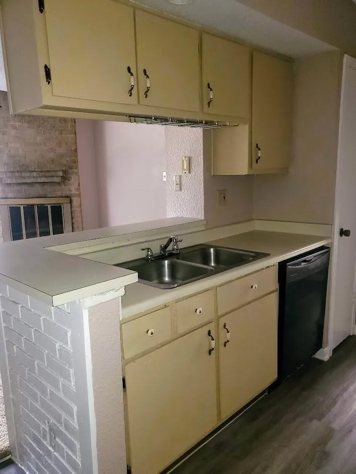 250 El Dorado #296 Webster, TX 77598
