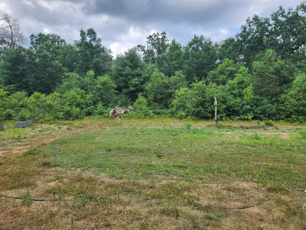 2833 E 40th Street Idlewild, MI 49642