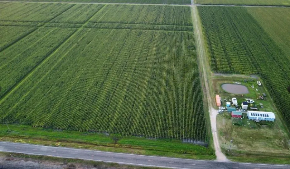 Fm 1164 Road East Bernard, TX 77435