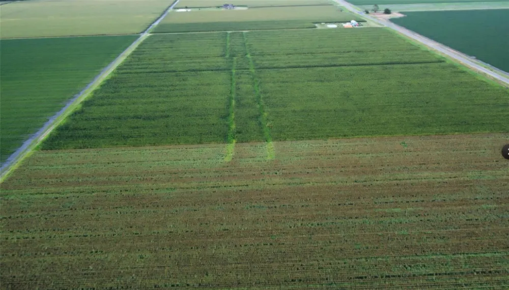 Fm 1164 Road East Bernard, TX 77435