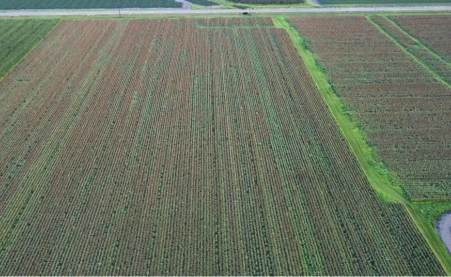 Fm 1164 Road East Bernard, TX 77435