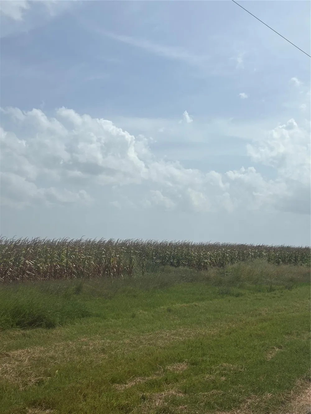 County Road 3364 Alice, TX 78332