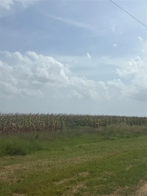 County Road 3364