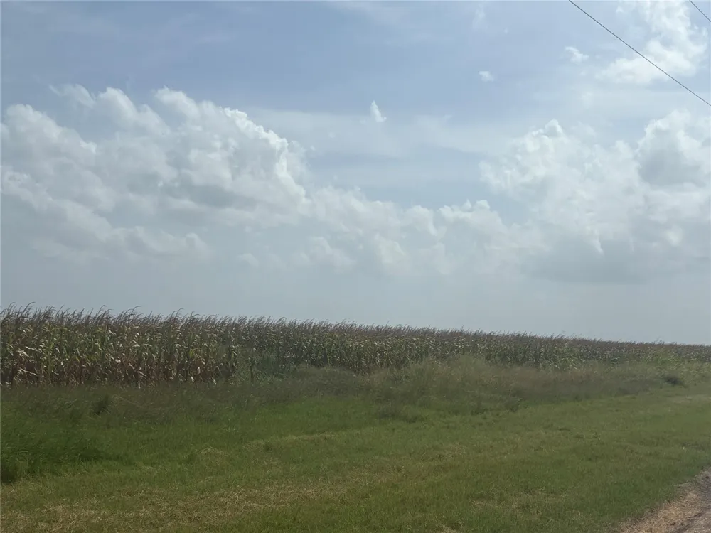 County Road 3364 Alice, TX 78332
