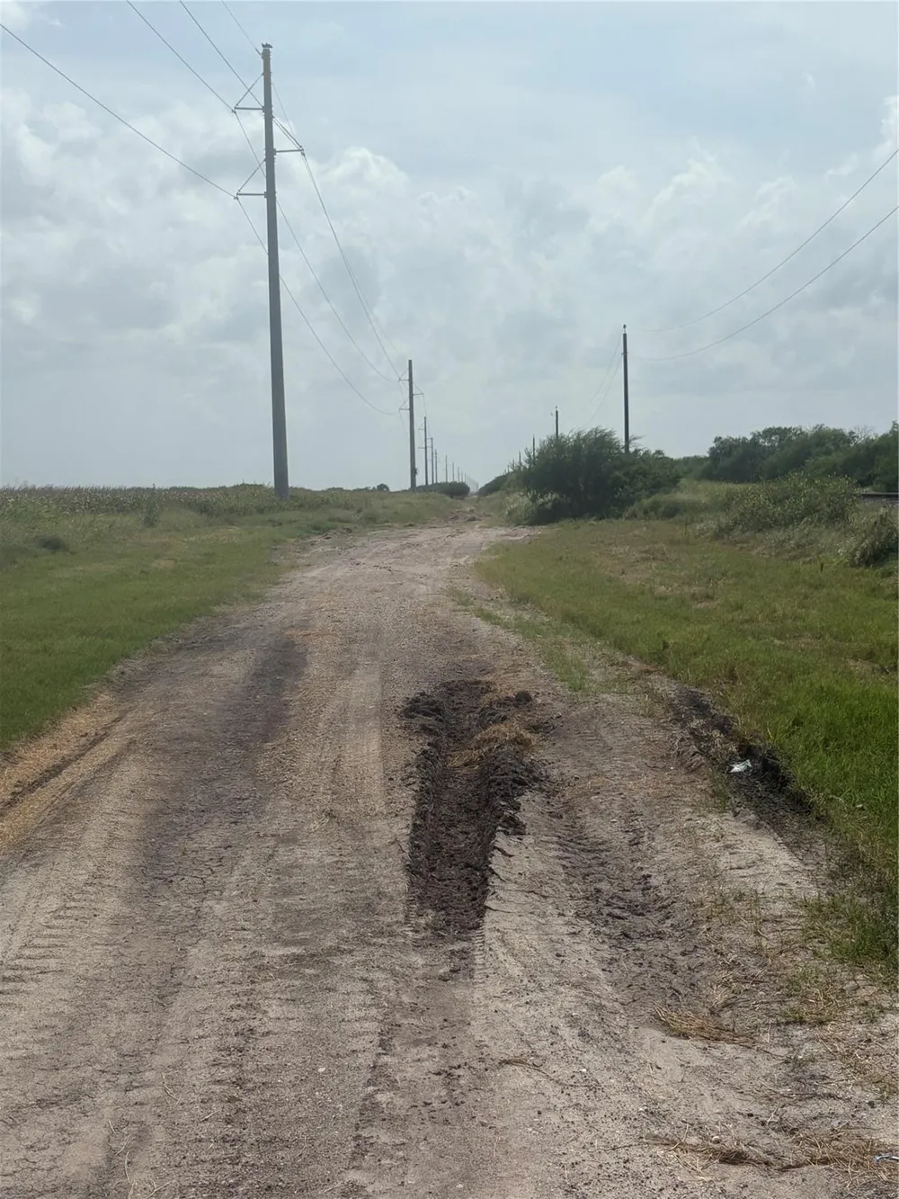 County Road 3364 Alice, TX 78332