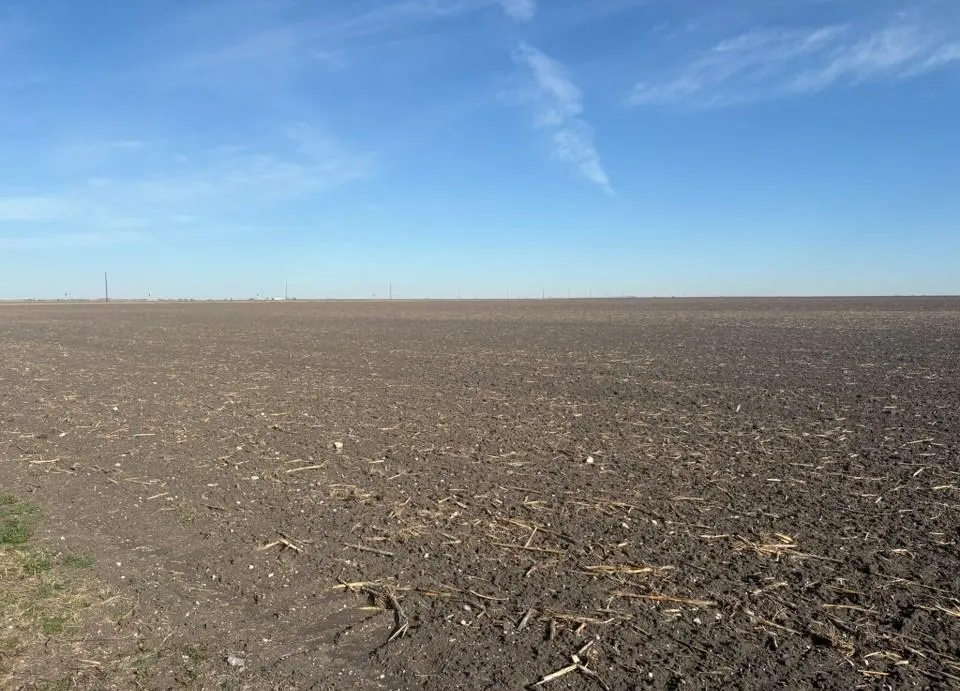 County Road 3364 Alice, TX 78332