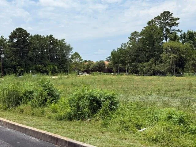 Stuebner Airline Road Spring, TX 77379