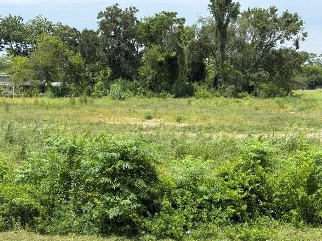 Stuebner Airline Road Spring, TX 77379