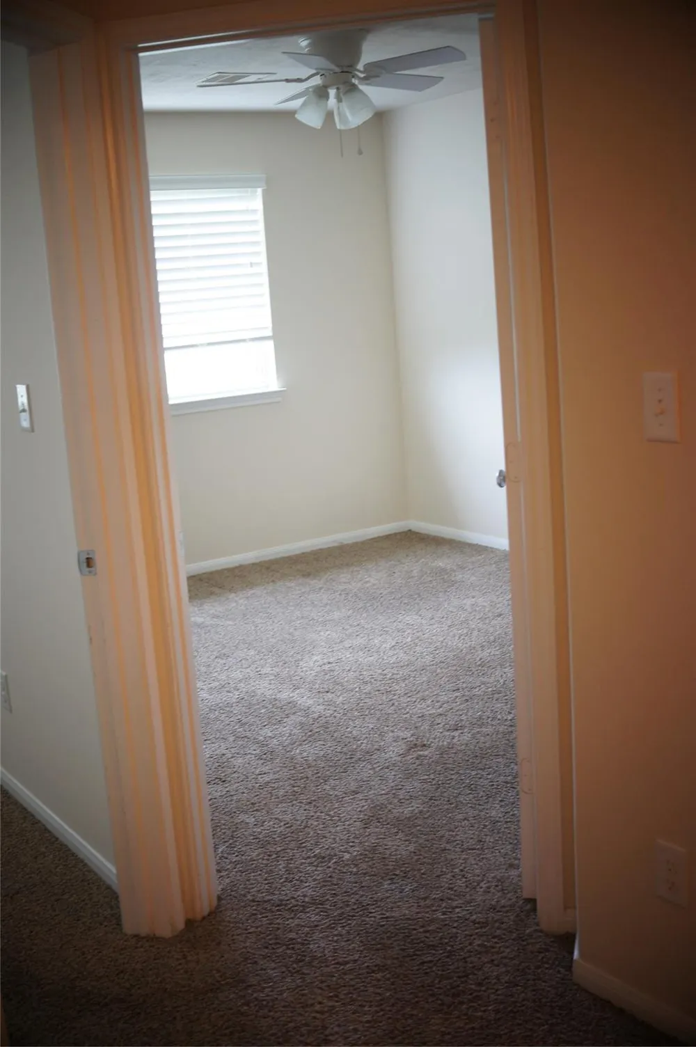 1619 Grable Cove Lane Spring, TX 77379
