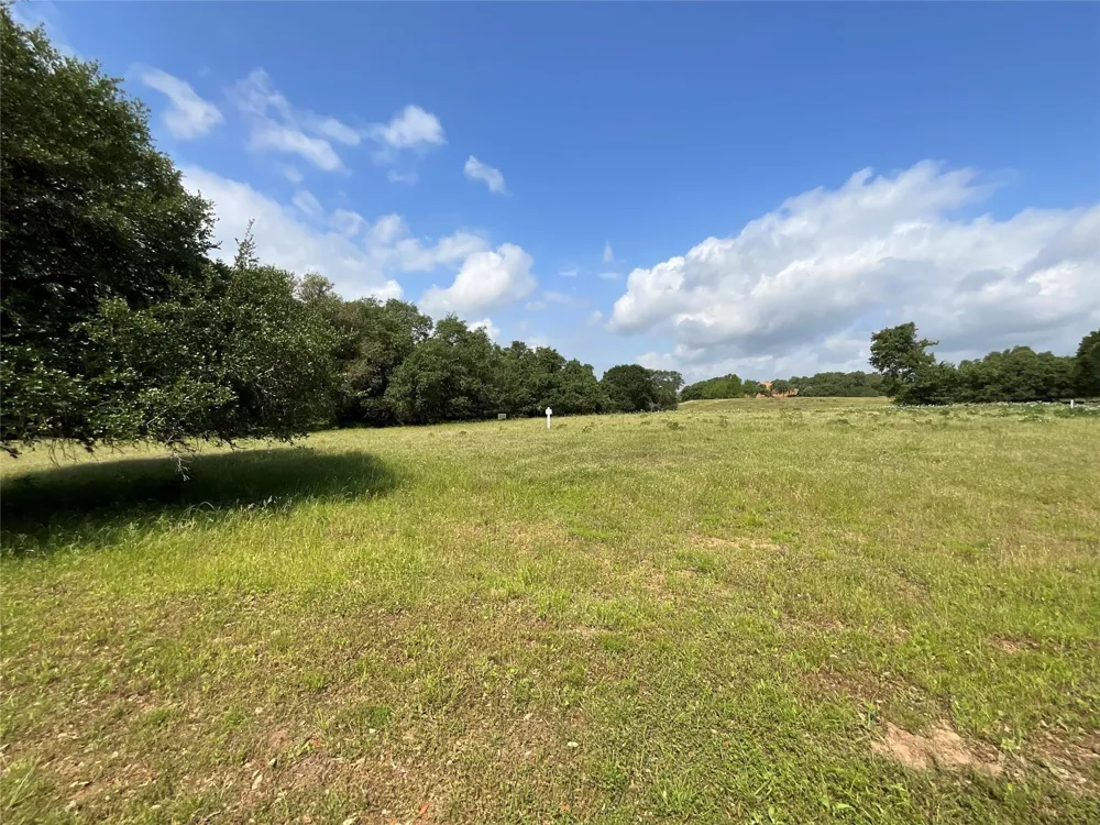 114 Red Stag Lane Columbus, TX 78934