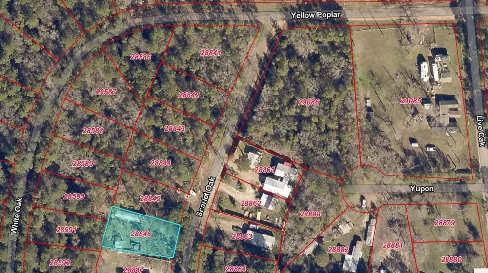 13096 Scarlet Oak Plantersville, TX 77363