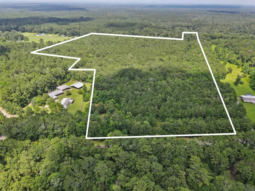 4013 Fm 2992 Woodville, TX 75979