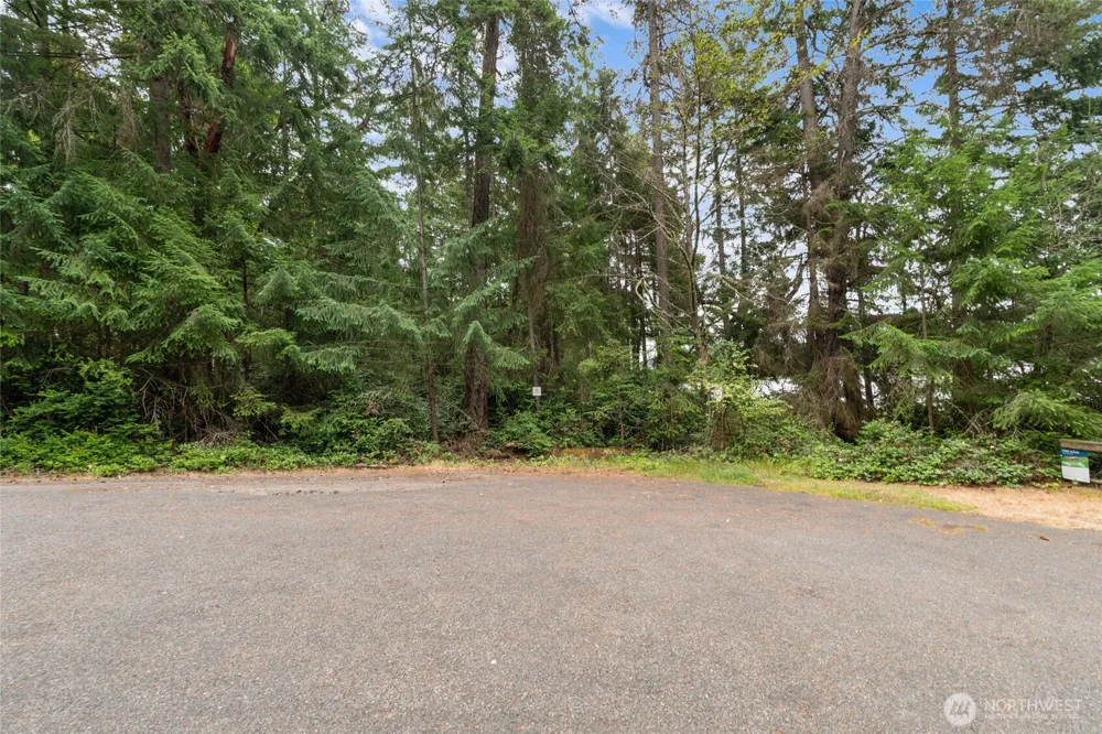 10718 Trout Place Anderson Island, WA 98303