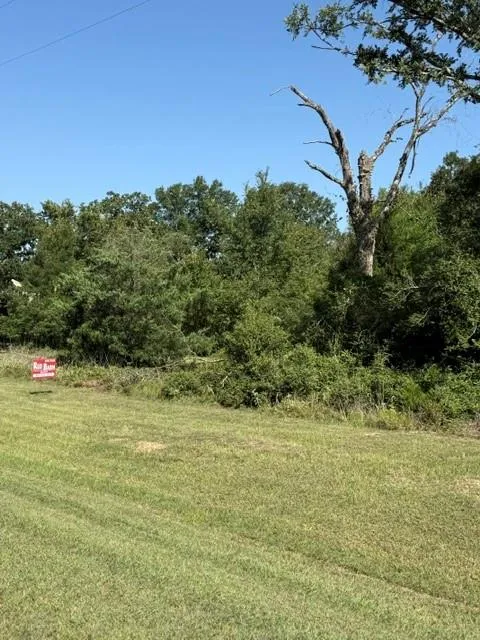 Cr 377 Marquez, TX 77865