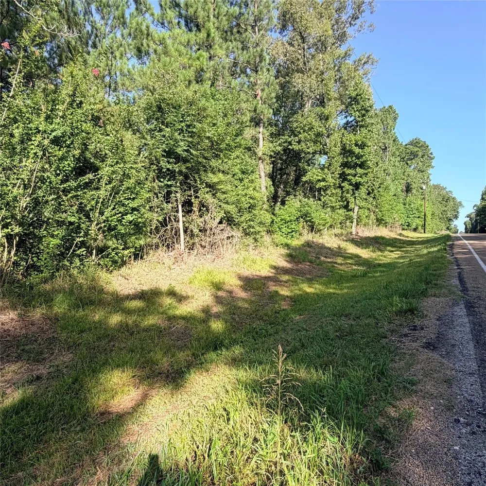 3008 E Fm 942 Leggett, TX 77350