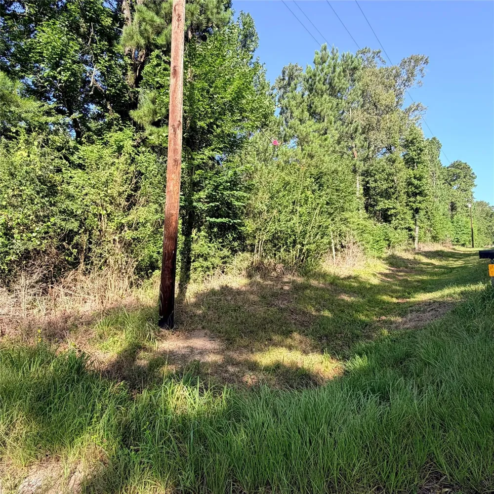 3008 E Fm 942 Leggett, TX 77350