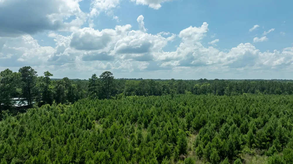 Sandy Creed Rd Zavalla, TX 75980