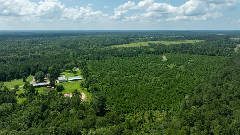 Sandy Creed Rd Zavalla, TX 75980