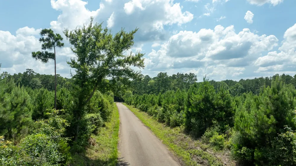 Sandy Creed Rd Zavalla, TX 75980