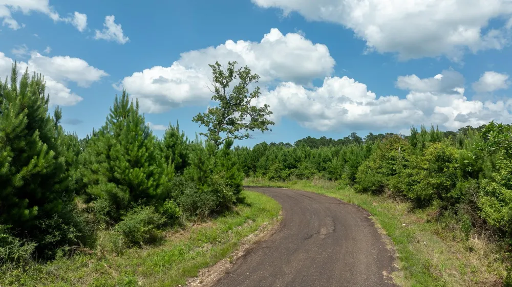 Sandy Creed Rd Zavalla, TX 75980