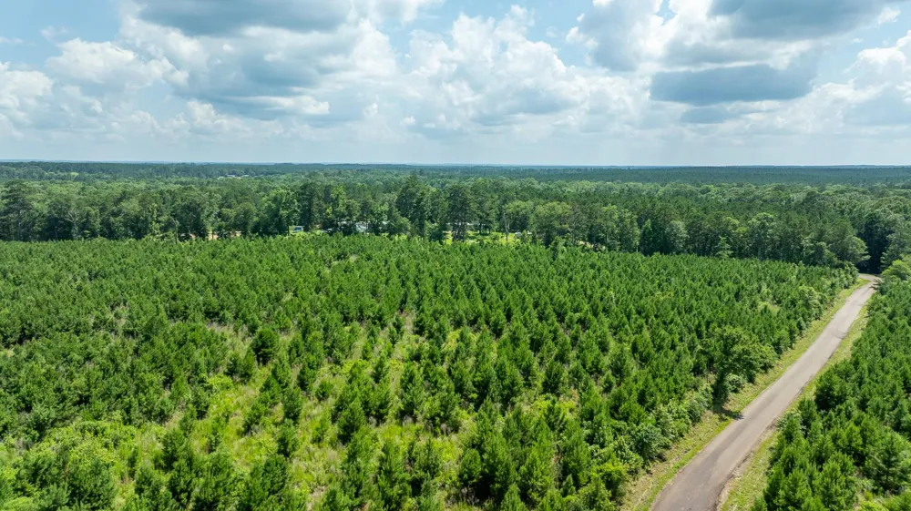 Sandy Creed Rd Zavalla, TX 75980