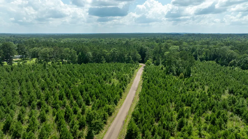 Sandy Creed Rd Zavalla, TX 75980