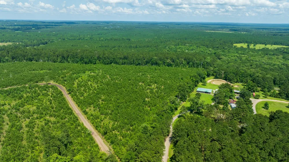 Sandy Creed Rd Zavalla, TX 75980