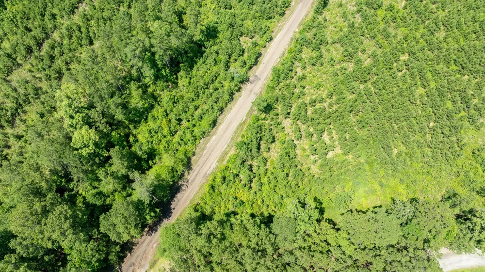 Sandy Creed Rd Zavalla, TX 75980