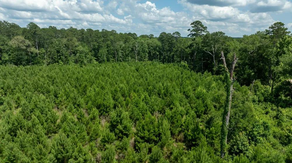 Sandy Creed Rd Zavalla, TX 75980