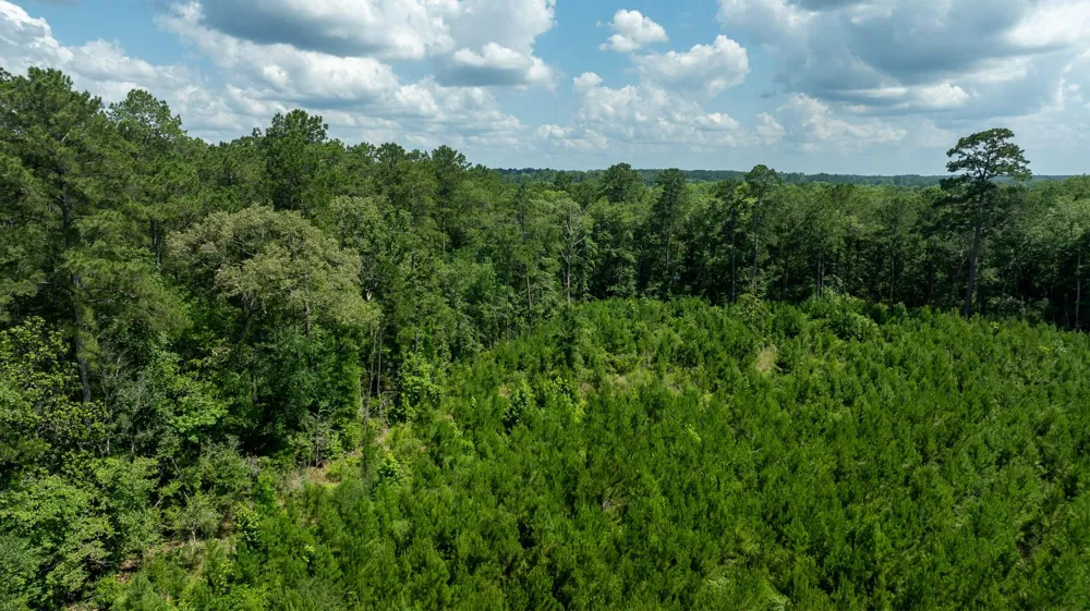 Sandy Creed Rd Zavalla, TX 75980
