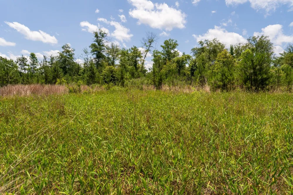 18 Cr 4210 Woodville, TX 75979