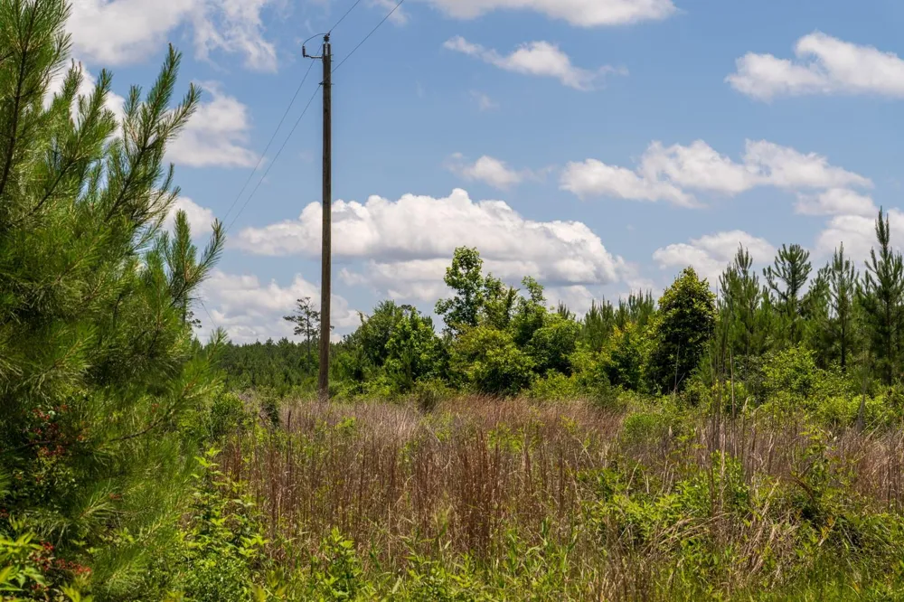 18 Cr 4210 Woodville, TX 75979