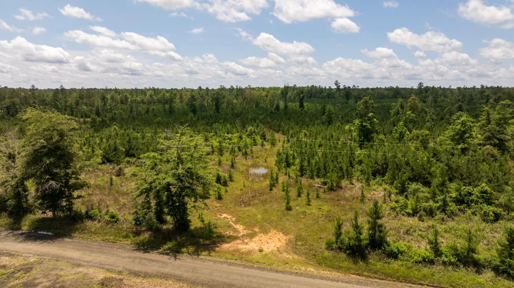 18 Cr 4210 Woodville, TX 75979