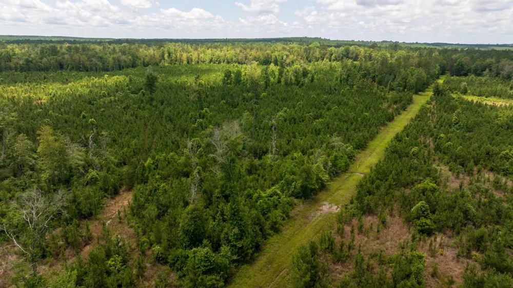 18 Cr 4210 Woodville, TX 75979