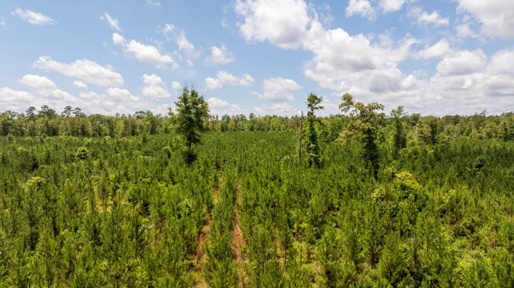 18 Cr 4210 Woodville, TX 75979