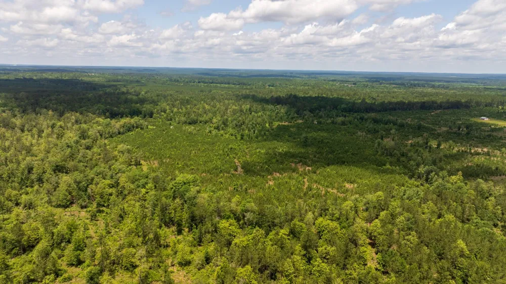 18 Cr 4210 Woodville, TX 75979