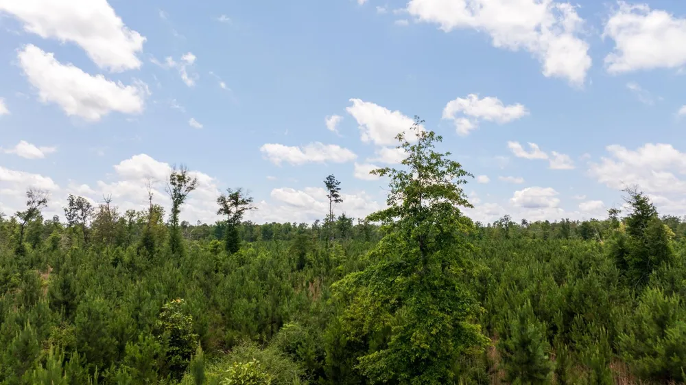 18 Cr 4210 Woodville, TX 75979