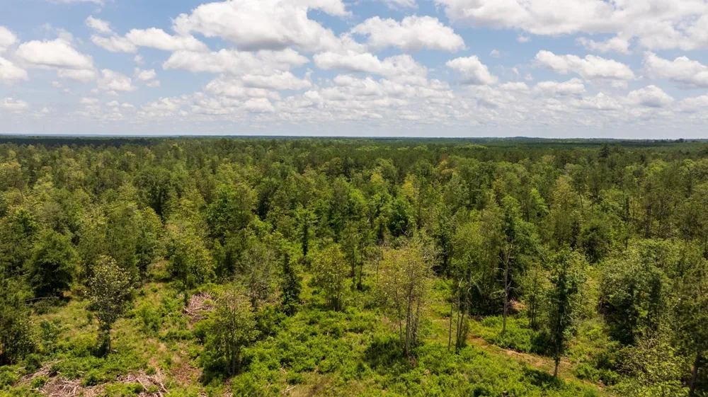 18 Cr 4210 Woodville, TX 75979