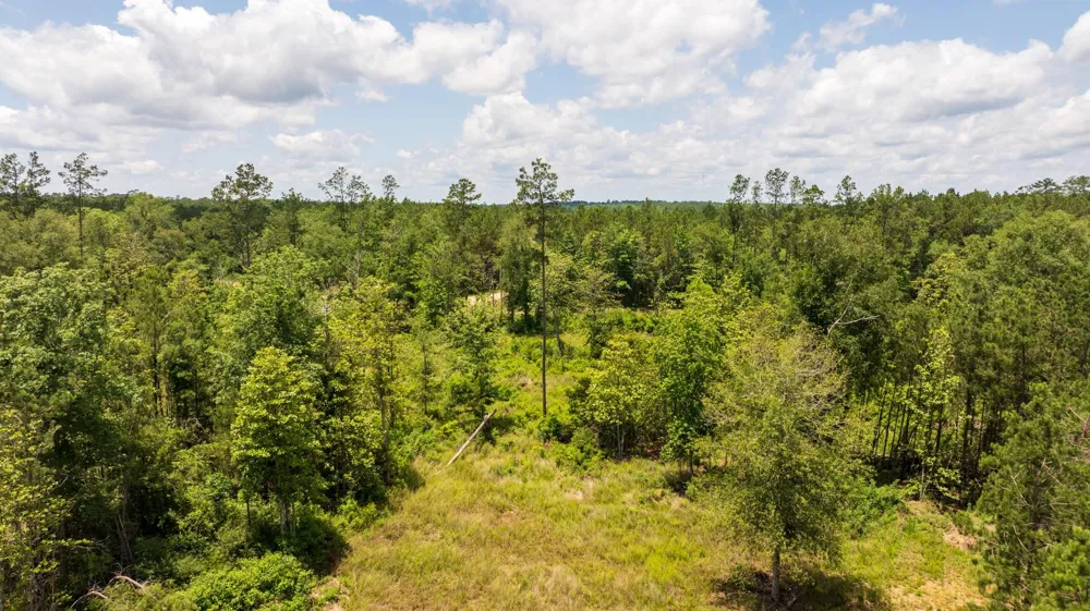 18 Cr 4210 Woodville, TX 75979