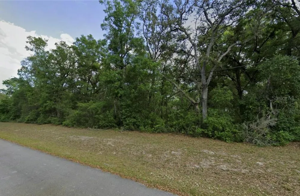 0 SE 59TH PLACE Ocklawaha, FL 32179