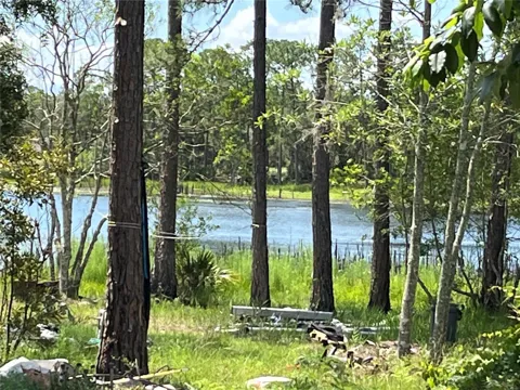 42334 W LAKE ROAD
