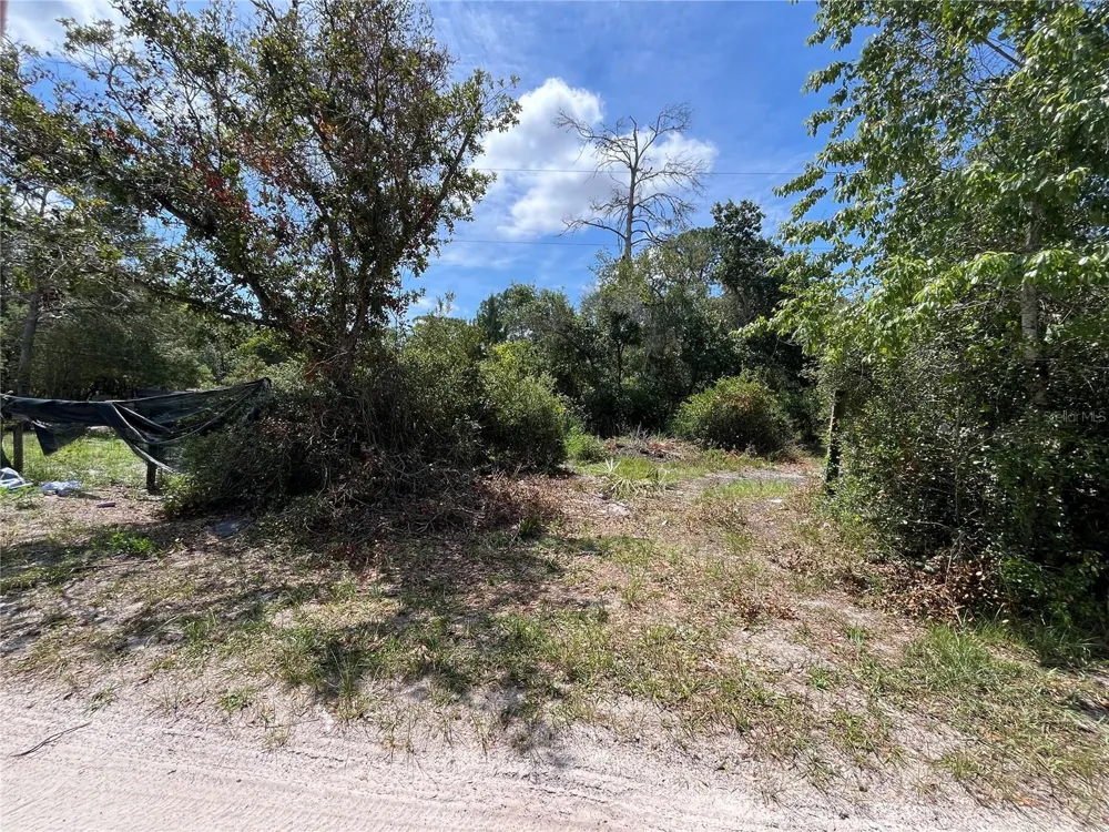 42334 W LAKE ROAD Deland, FL 32720